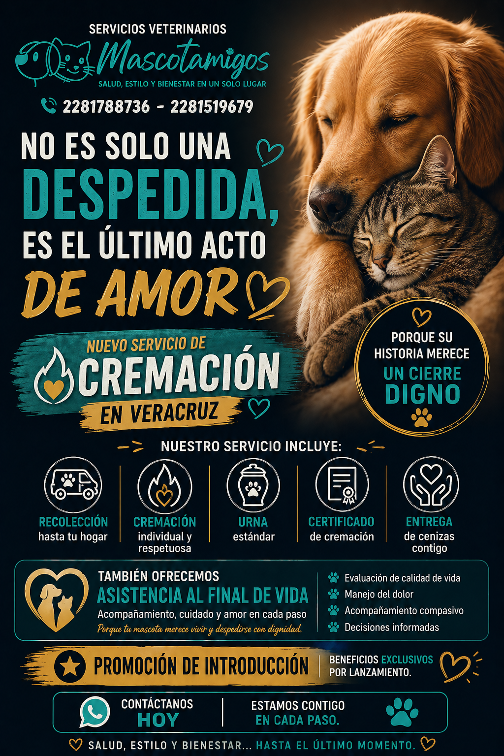 Servicios de Cremación Individual Mascotamigos by PZ